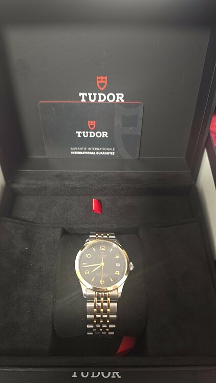 チューダー ブラックベイ 91451（高級時計）の商品画像 - 査定依頼日：2026年3月31日 - 最高査定価格：280,000円