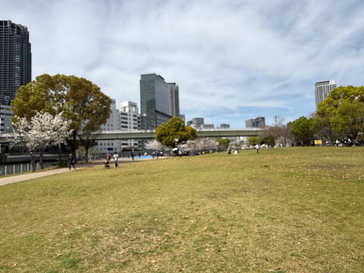 EOSD70（カメラ）の商品画像 - 査定依頼日：2026年4月18日 - 最高査定価格：36,000円