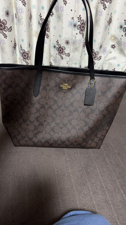 その他 コーチ （ブランドバッグ）の商品画像 - 査定依頼日：2026年2月23日 - 最高査定価格：2,500円