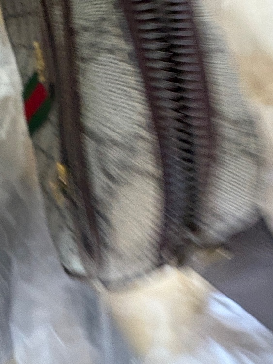 GUCCI ウエストポーチ（ブランドバッグ）の商品画像 - 査定依頼日：2026年4月4日 - 最高査定価格：60,000円