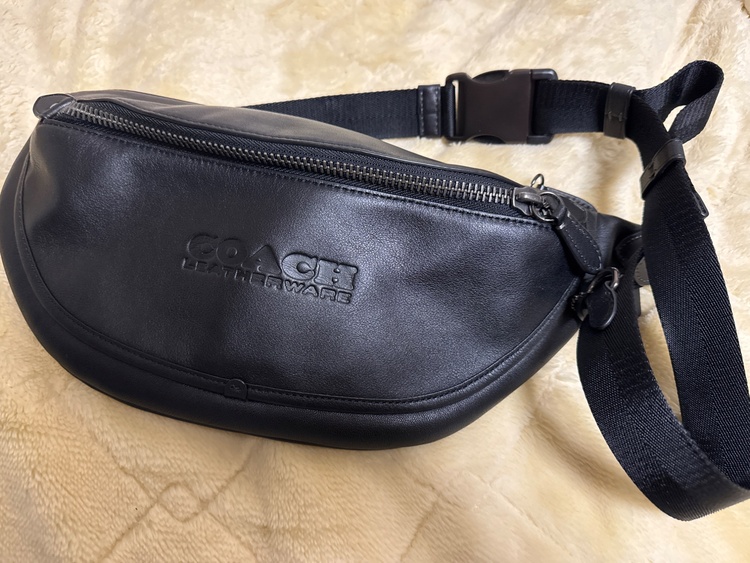 その他 コーチ （ブランドバッグ）の商品画像 - 査定依頼日：2026年2月20日 - 最高査定価格：10,000円