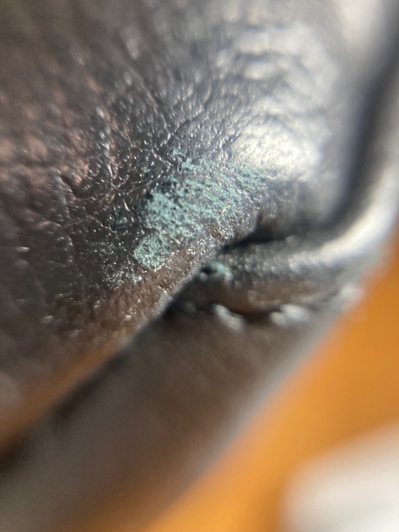 ルイヴィトン ルイヴィトン(その他) （ブランドバッグ）の商品画像 - 査定依頼日：2025年6月27日 - 最高査定価格：280,000円