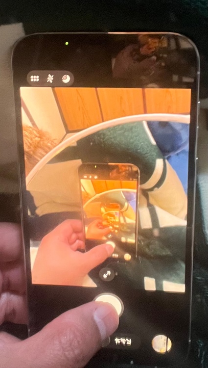 iPhone 13 Pro Max 256GB SIMフリー（スマホ）の商品画像 - 査定依頼日：2026年4月1日 - 最高査定価格：61,000円