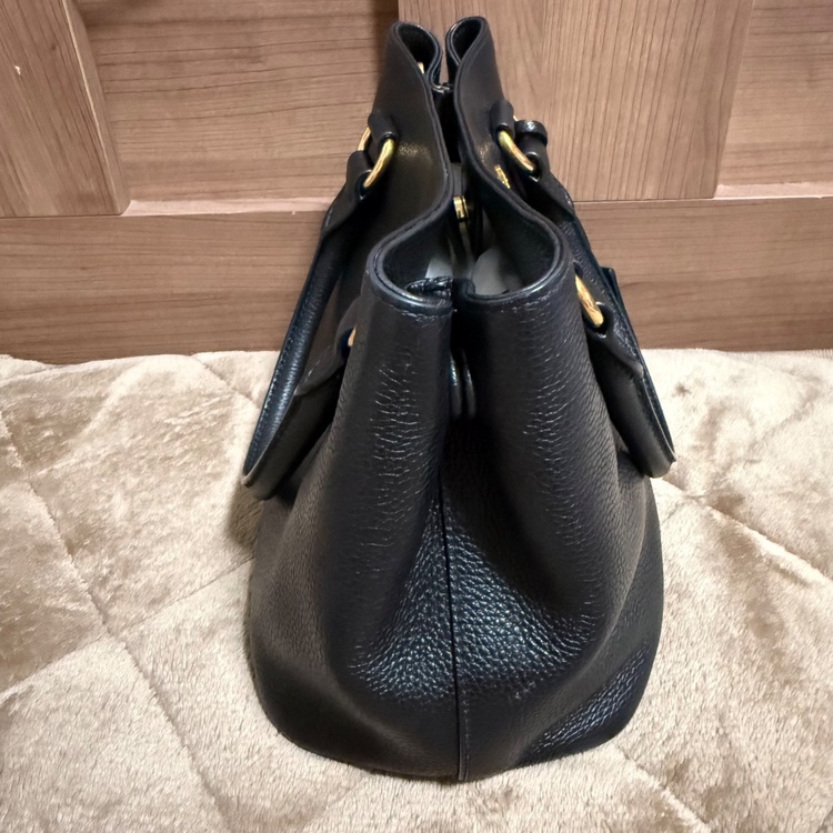 型番：1BA411 素材：VITELLO PHENIX（ヴィッテロ・フェニックス） カラー：NERO（ブラック） サイズ表記：TU 商品コード：1BA411 2EBK F0002（ブランドバッグ）の商品画像 - 査定依頼日：2026年9月27日 - 最高査定価格：100,000円