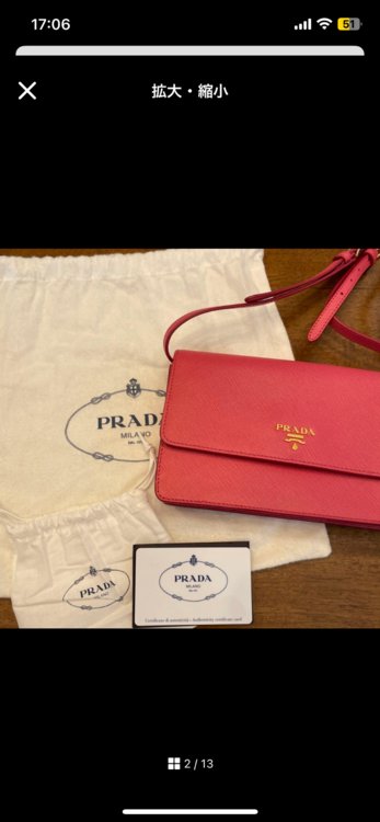 サフィアーノレザーショルダー（ブランドバッグ）の商品画像 - 査定依頼日：2025年12月14日 - 最高査定価格：50,000円