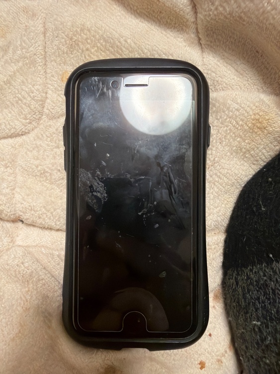 iphone se第3世代（スマホ）の商品画像 - 査定依頼日：2026年3月27日 - 最高査定価格：20,000円