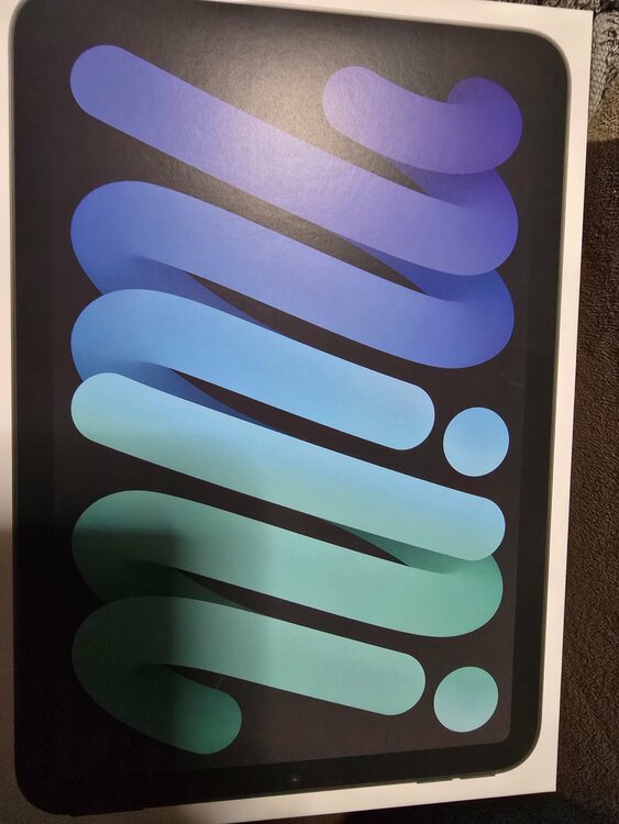 iPadminiA17（PC・タブレット）の商品画像 - 査定依頼日：2026年1月24日 - 最高査定価格：51,000円