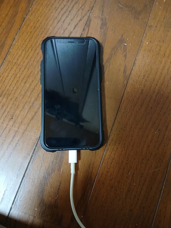 iPhone 12 mini 128GB au（スマホ）の商品画像 - 査定依頼日：2026年2月6日 - 最高査定価格：18,000円