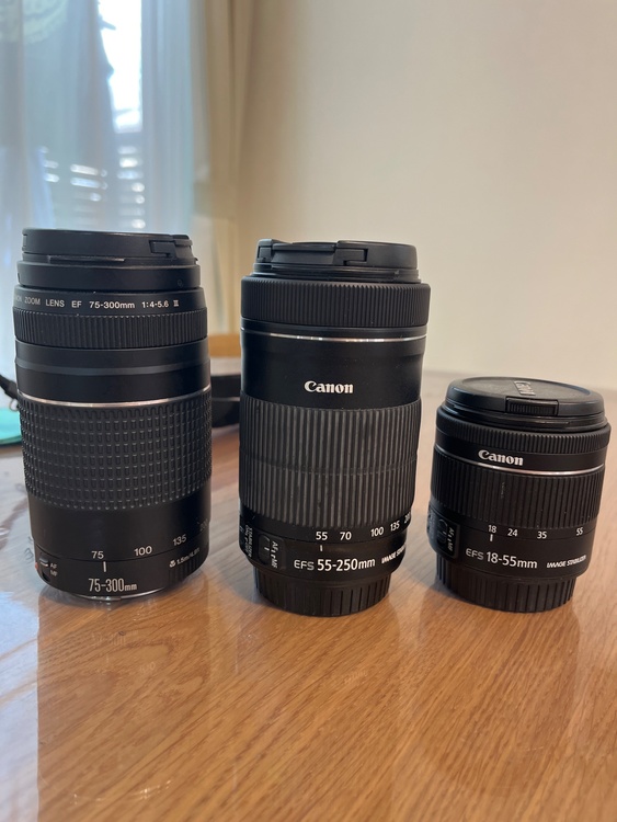 canon EOS kiss x9（カメラ）の商品画像 - 査定依頼日：2026年4月27日 - 最高査定価格：41,100円