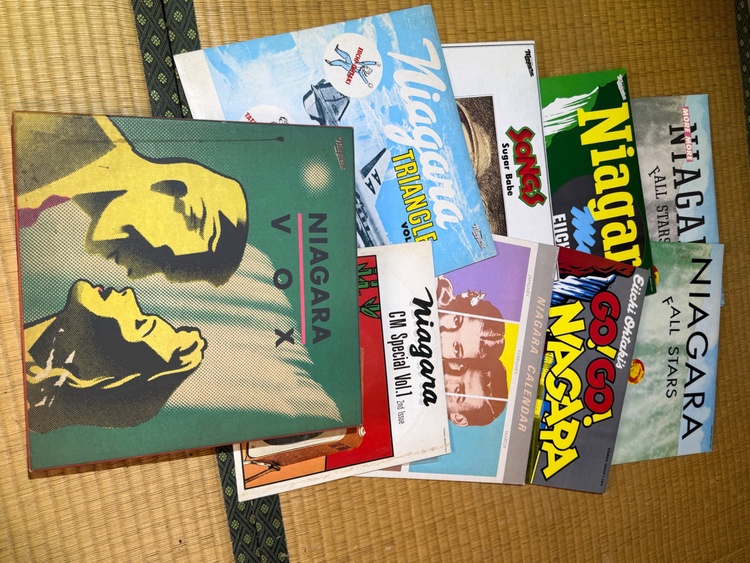 NAIAGARA VOX（レコード）の商品画像 - 査定依頼日：2026年4月9日 - 最高査定価格：1,000円