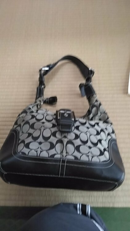 バッグ（ブランドバッグ）の商品画像 - 査定依頼日：2026年2月25日 - 最高査定価格：2,000円