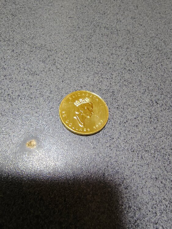 メイプルリーフ金貨1/2（金・貴金属）の商品画像 - 査定依頼日：2025年12月22日 - 最高査定価格：330,000円