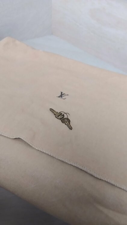 ルイヴィトン アルマ（ブランドバッグ）の商品画像 - 査定依頼日：2026年8月8日 - 最高査定価格：60,000円