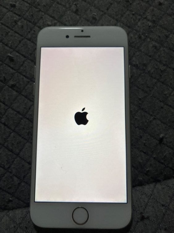 iPhone8 256GB au（スマホ）の商品画像 - 査定依頼日：2026年1月26日 - 最高査定価格：5,500円