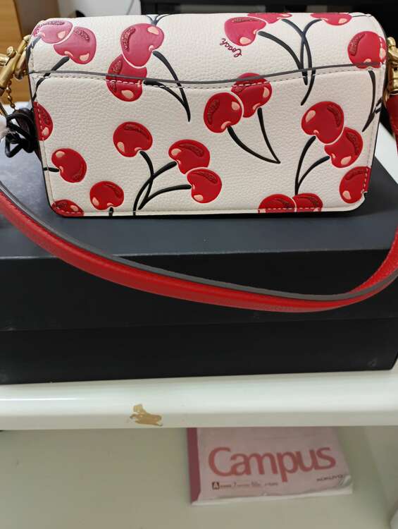 その他 コーチ （ブランドバッグ）の商品画像 - 査定依頼日：2025年1月28日 - 最高査定価格：5,000円