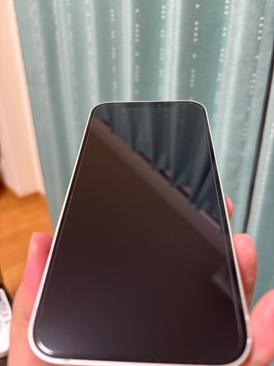 iPhone iPhone 12 64GB Softbank（スマホ）の商品画像 - 査定依頼日：2026年9月14日 - 最高査定価格：20,500円