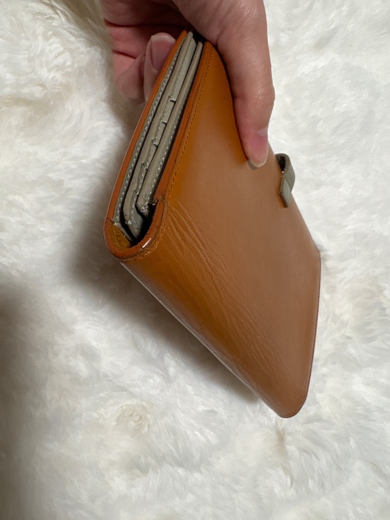 セリーヌ  （ブランドバッグ）の商品画像 - 査定依頼日：2026年1月30日 - 最高査定価格：10,000円