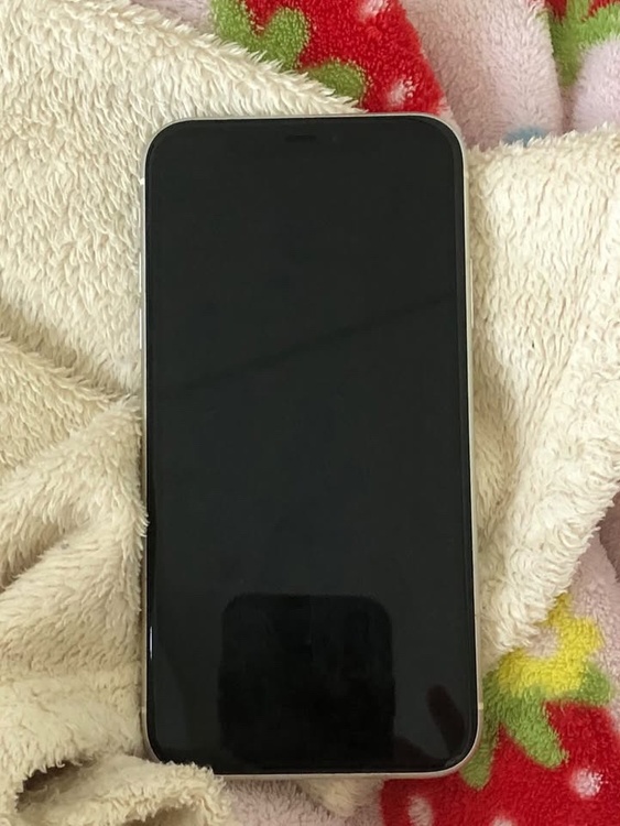 iPhone iPhone11 128GB SIMフリー（スマホ）の商品画像 - 査定依頼日：2026年7月8日 - 最高査定価格：15,500円