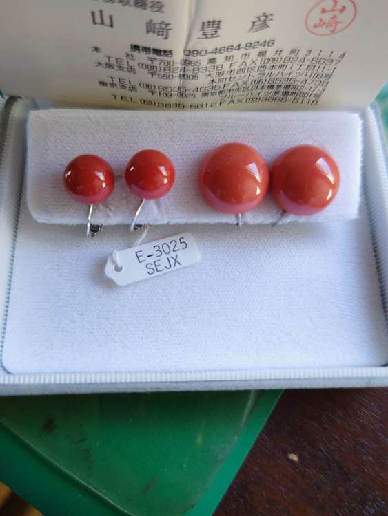 イヤリング（宝石）の商品画像 - 査定依頼日：2023年10月30日 - 最高査定価格：10,000円