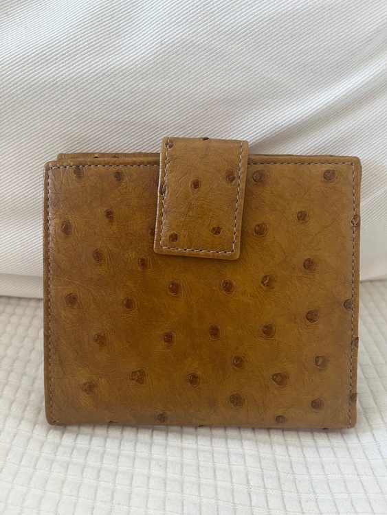 GUCCI オーストリッチ　財布（ブランド財布・小物）の商品画像 - 査定依頼日：2026年1月9日 - 最高査定価格：100,000円