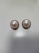 イヤリング（宝石）の商品画像 - 査定依頼日：2025年10月3日 - 最高査定価格：65,000円