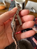 ロレックス パーペチュアルデイト （高級時計）の商品画像 - 査定依頼日：2026年3月30日 - 最高査定価格：2,450,000円