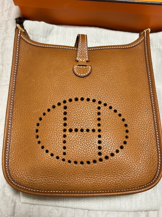 エヴリンtpm（ブランドバッグ）の商品画像 - 査定依頼日：2025年7月31日 - 最高査定価格：380,000円