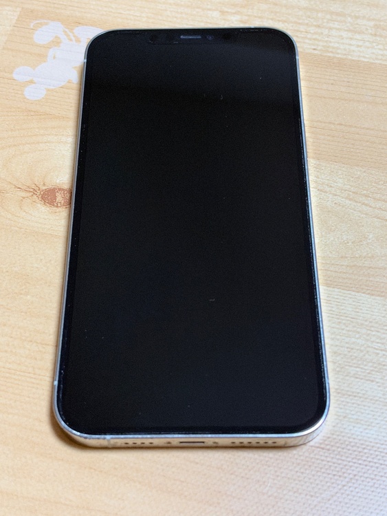 iPhone iPhone 12 Pro Max 256GB Softbank（スマホ）の商品画像 - 査定依頼日：2026年9月22日 - 最高査定価格：45,500円