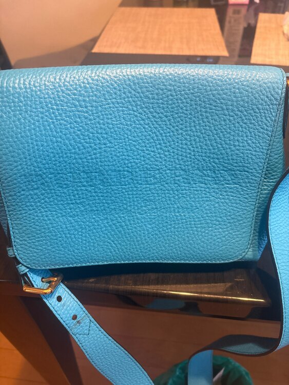 エンボスロゴ レザー 青 レディース ショルダー（ブランドバッグ）の商品画像 - 査定依頼日：2024年12月9日 - 最高査定価格：4,000円
