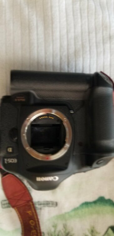 Canon EOS 1D MarkII キヤノン（カメラ）の商品画像 - 査定依頼日：2026年4月21日 - 最高査定価格：14,100円