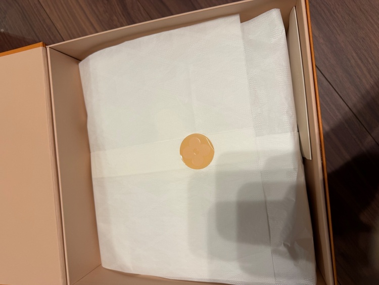 ルイヴィトン ルイヴィトン(その他)（ブランドバッグ）の商品画像 - 査定依頼日：2026年9月19日 - 最高査定価格：380,000円