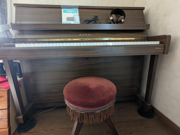 ピアリーナ（ピアノ・楽器・PA機材）の商品画像 - 査定依頼日：2025年10月2日 - 最高査定価格：3,000円