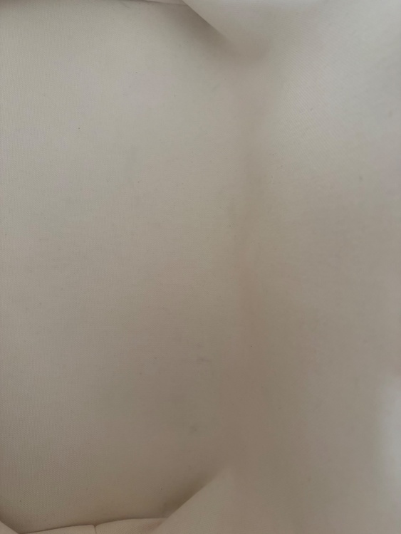 セリーヌ  （ブランドバッグ）の商品画像 - 査定依頼日：2026年4月11日 - 最高査定価格：75,000円