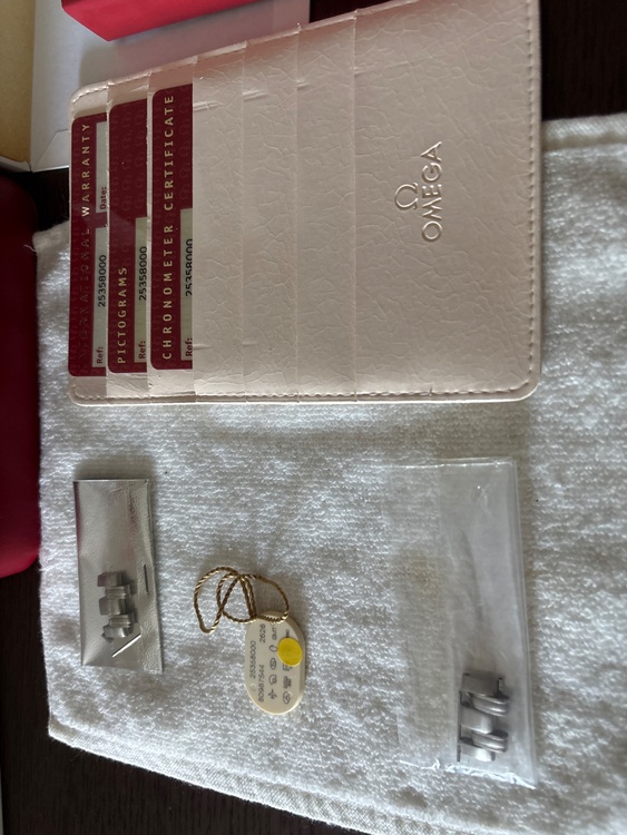 Seamaster Professional GMT（高級時計）の商品画像 - 査定依頼日：2025年7月20日 - 最高査定価格：500,000円