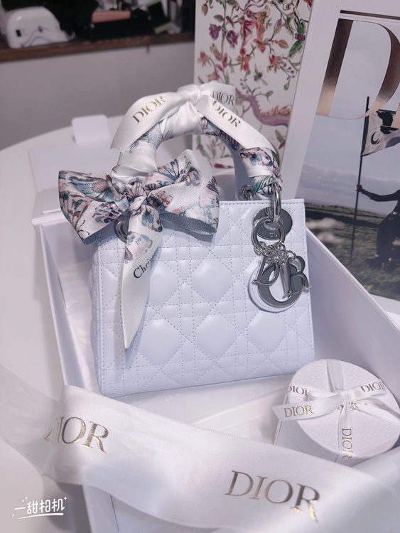 ディオール  （ブランドバッグ）の商品画像 - 査定依頼日：2025年6月7日 - 最高査定価格：420,000円