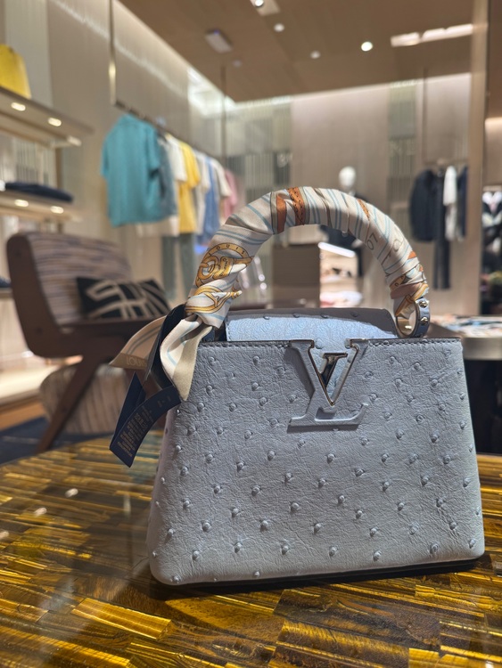 ルイヴィトン ルイヴィトン(その他) （ブランドバッグ）の商品画像 - 査定依頼日：2025年9月16日 - 最高査定価格：560,000円