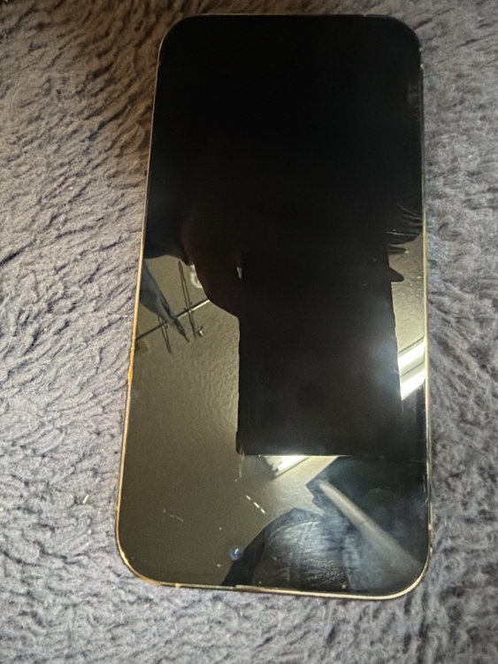 iPhone 14 Pro 512GB docomo（スマホ）の商品画像 - 査定依頼日：2026年3月8日 - 最高査定価格：72,000円