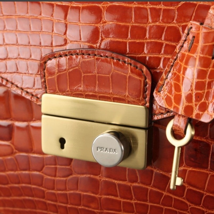 ヴィンテージクロコ　ハンドバック（ブランドバッグ）の商品画像 - 査定依頼日：2026年1月21日 - 最高査定価格：80,000円