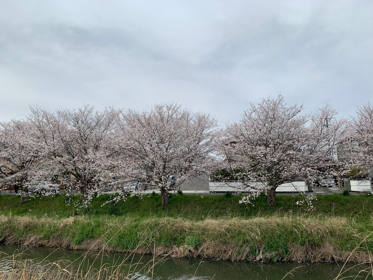 ルイヴィトン ルイヴィトン(その他) （ブランドバッグ）の商品画像 - 査定依頼日：2025年4月3日 - 最高査定価格：250,000円
