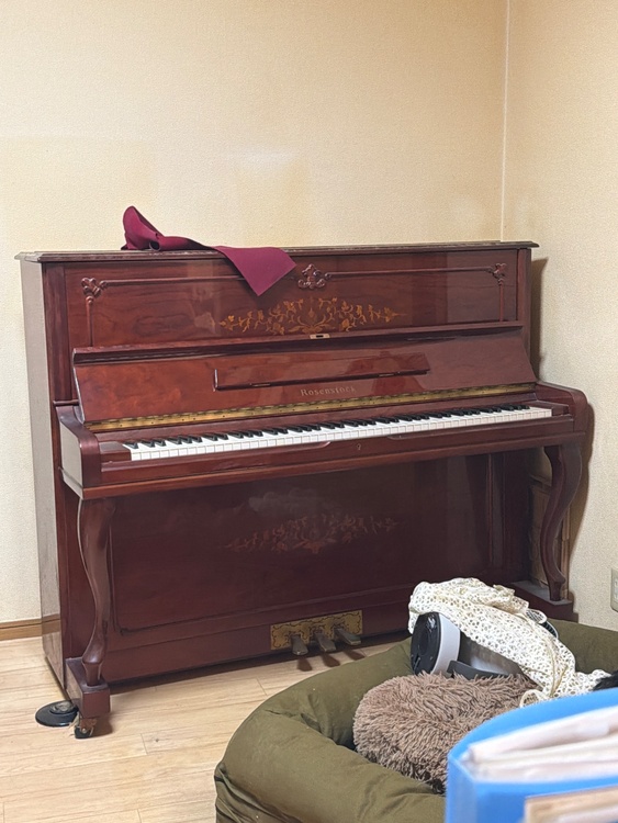 ROSENSTOCK. RS-250C.1553297（ピアノ・楽器・PA機材）の商品画像 - 査定依頼日：2025年12月27日 - 最高査定価格：5,000円