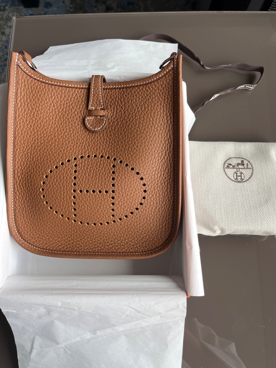 エブリンミニTPM（ブランドバッグ）の商品画像 - 査定依頼日：2025年8月3日 - 最高査定価格：360,000円