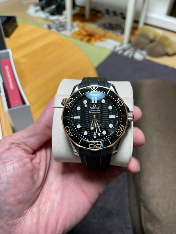 オメガ シーマスター 210.22.42.20.01.00（高級時計）の商品画像 - 査定依頼日：2025年5月1日 - 最高査定価格：750,000円