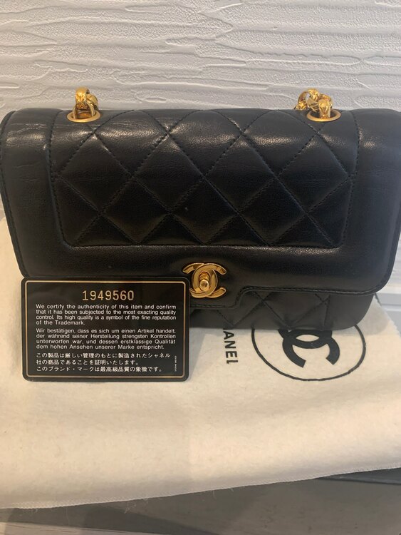 シャネル シャネル(その他) （ブランドバッグ）の商品画像 - 査定依頼日：2025年3月8日 - 最高査定価格：380,000円