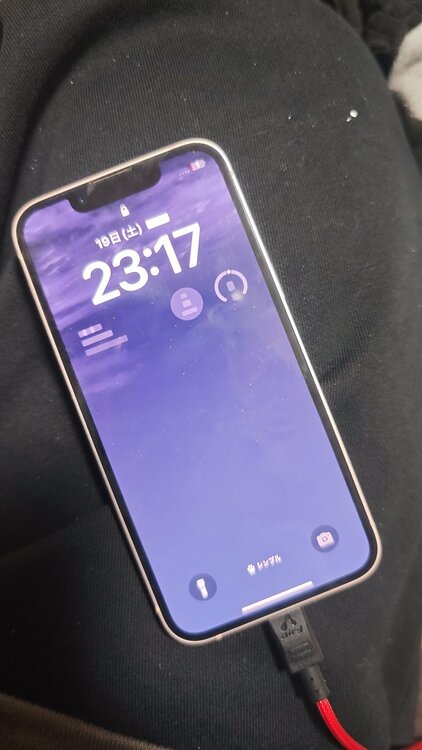 iPhone 13 mini 256GB SIMフリー（スマホ）の商品画像 - 査定依頼日：2026年2月28日 - 最高査定価格：30,000円