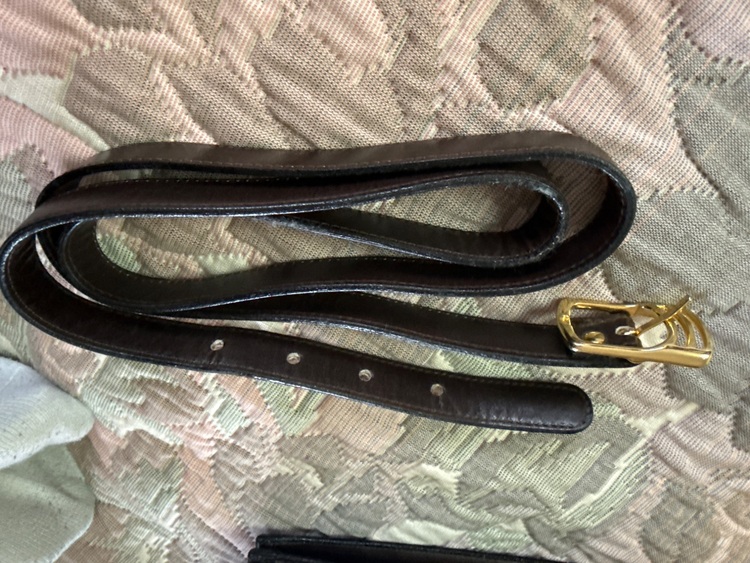 GUCCIシェリーラインショルダーバッグ（ブランドバッグ）の商品画像 - 査定依頼日：2025年6月7日 - 最高査定価格：20,000円