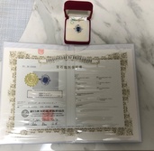 その他 その他 （ブランドバッグ）の商品画像 - 査定依頼日：2025年12月14日 - 最高査定価格：200,000円