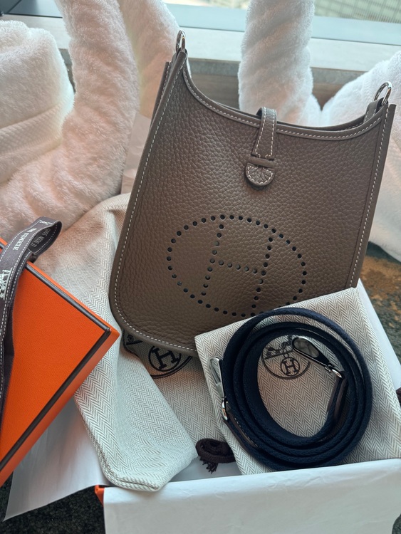 ミニエブリン tpm（ブランドバッグ）の商品画像 - 査定依頼日：2025年7月15日 - 最高査定価格：370,000円