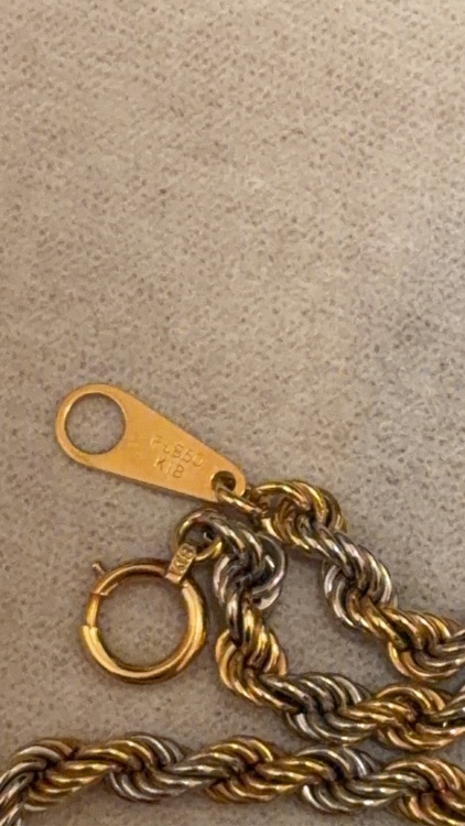 ネックレス（金・貴金属）の商品画像 - 査定依頼日：2026年3月6日 - 最高査定価格：300,000円