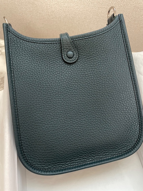 エヴリンTPM（ブランドバッグ）の商品画像 - 査定依頼日：2025年6月5日 - 最高査定価格：350,000円