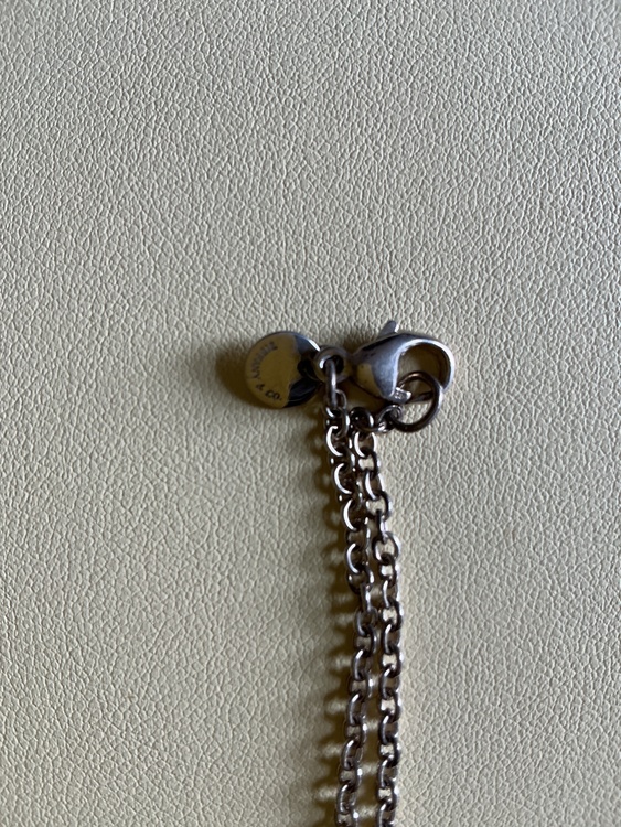 ティファニー　ネックレス（金・貴金属）の商品画像 - 査定依頼日：2026年3月23日 - 最高査定価格：10,500円